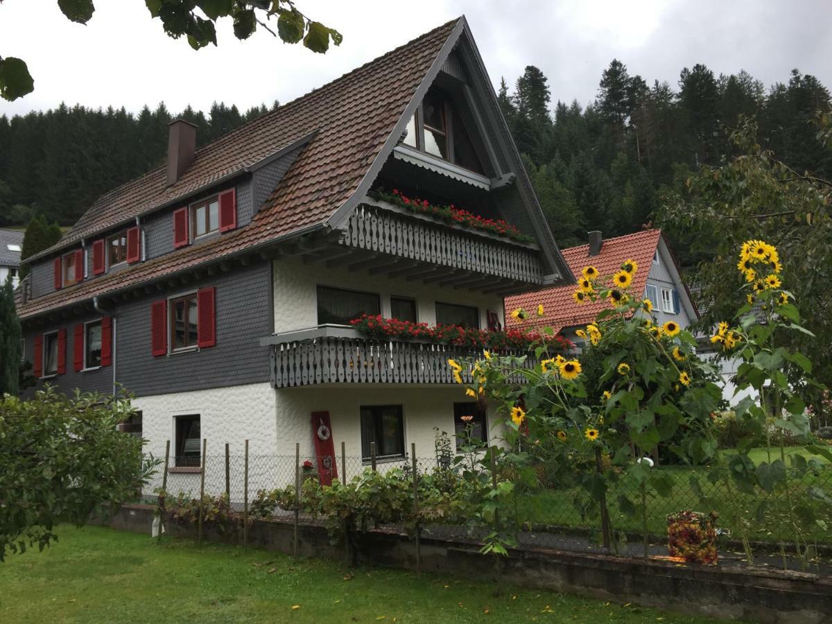 Apartment Pusteblume *